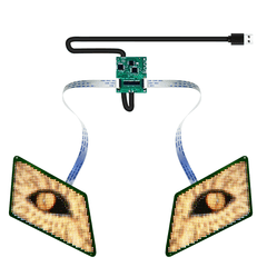 Programmable Eyes LED Display